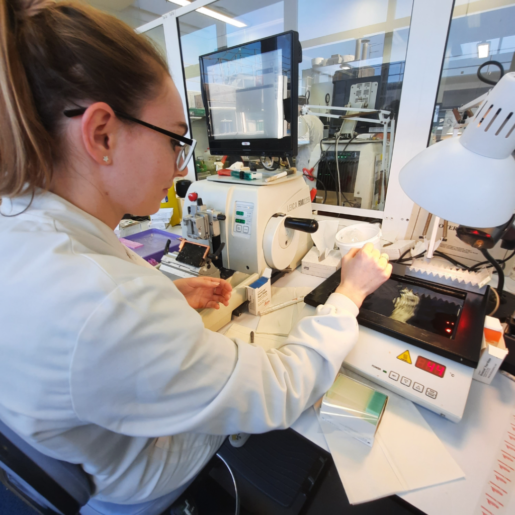 A cellular pathologist in the lab