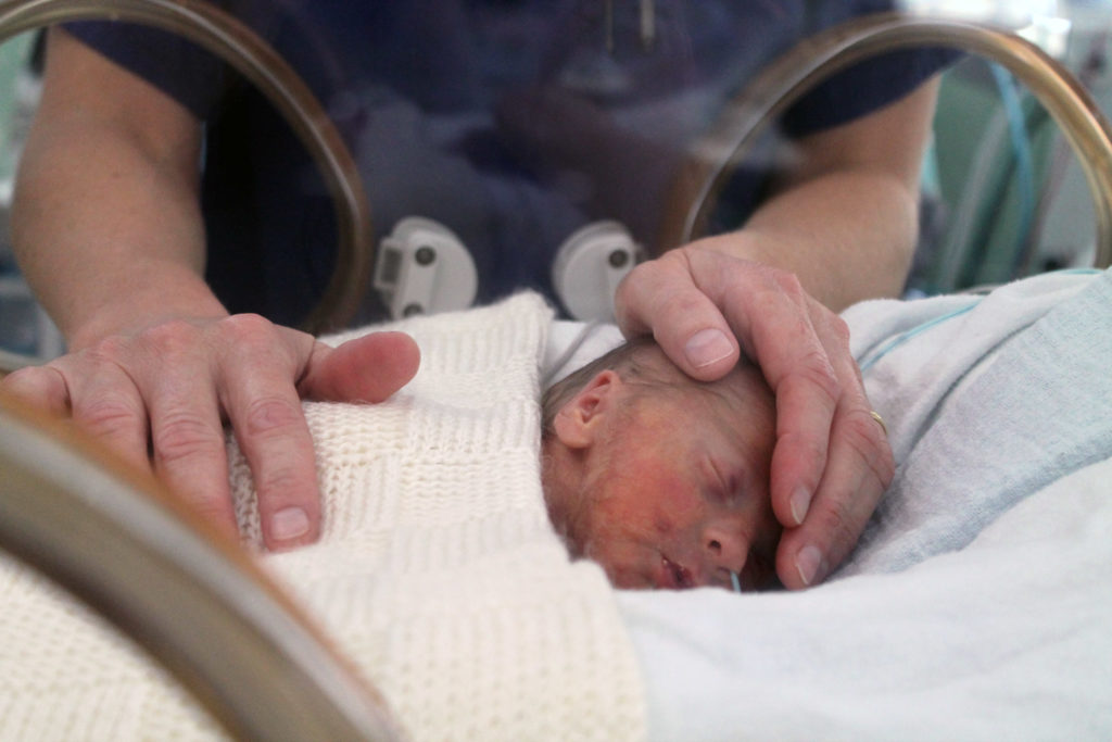 Premature baby in incubator