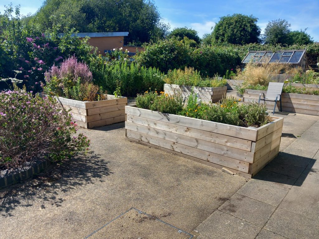 New planters at Donald Wilson House