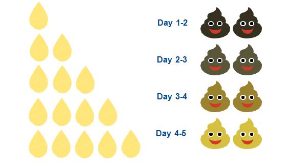 Newborn baby nappy chart 