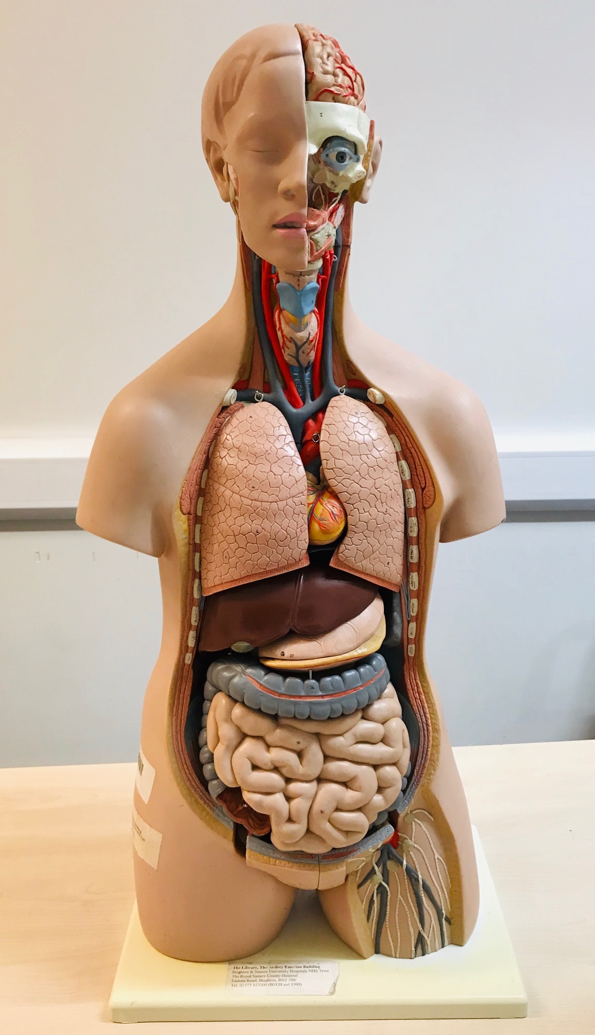 Health promotion resources - University Hospitals Sussex NHS Foundation ...