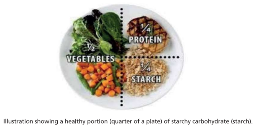 Illustration showing a healthy portion (quarter of a plate) of starchy carbohydrate (starch)