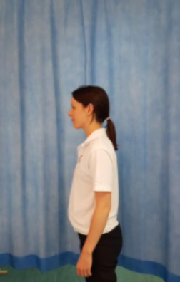 Arm elevation exercises