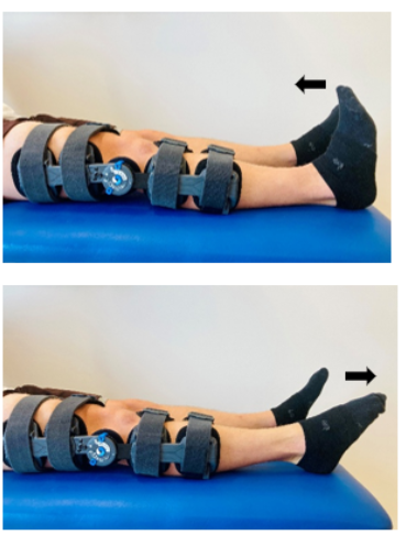 A person's legs with ankle straps
