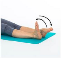 Ankle pumps - briskly bend and straighten your ankles.