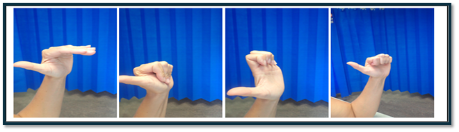 A collage of a hand exercises

