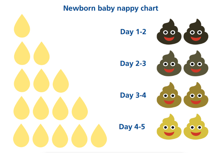Image showing a newborn baby nappy chart
