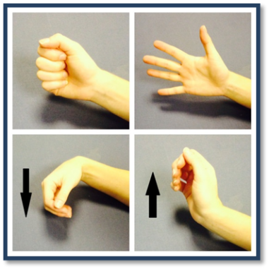 Finger and wrist exercises.