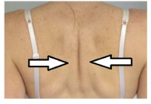 shoulders and back exercises