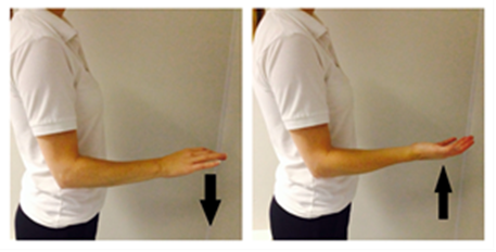 Forearm twists: 