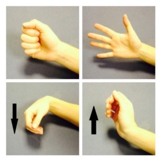 Finger and wrist bending and straightening exercises.