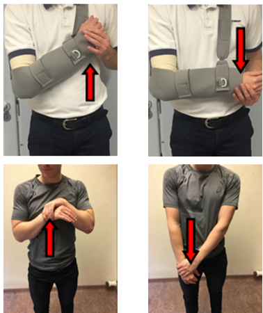 Exercises with and without your sling