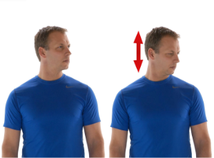 Forward flexion extension (looking up). © Wibbi