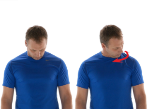 Forward flexion (looking down). © Wibbi
