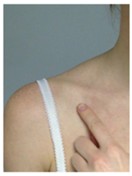 Location of clavicle