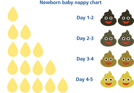 Newborn baby nappy chart