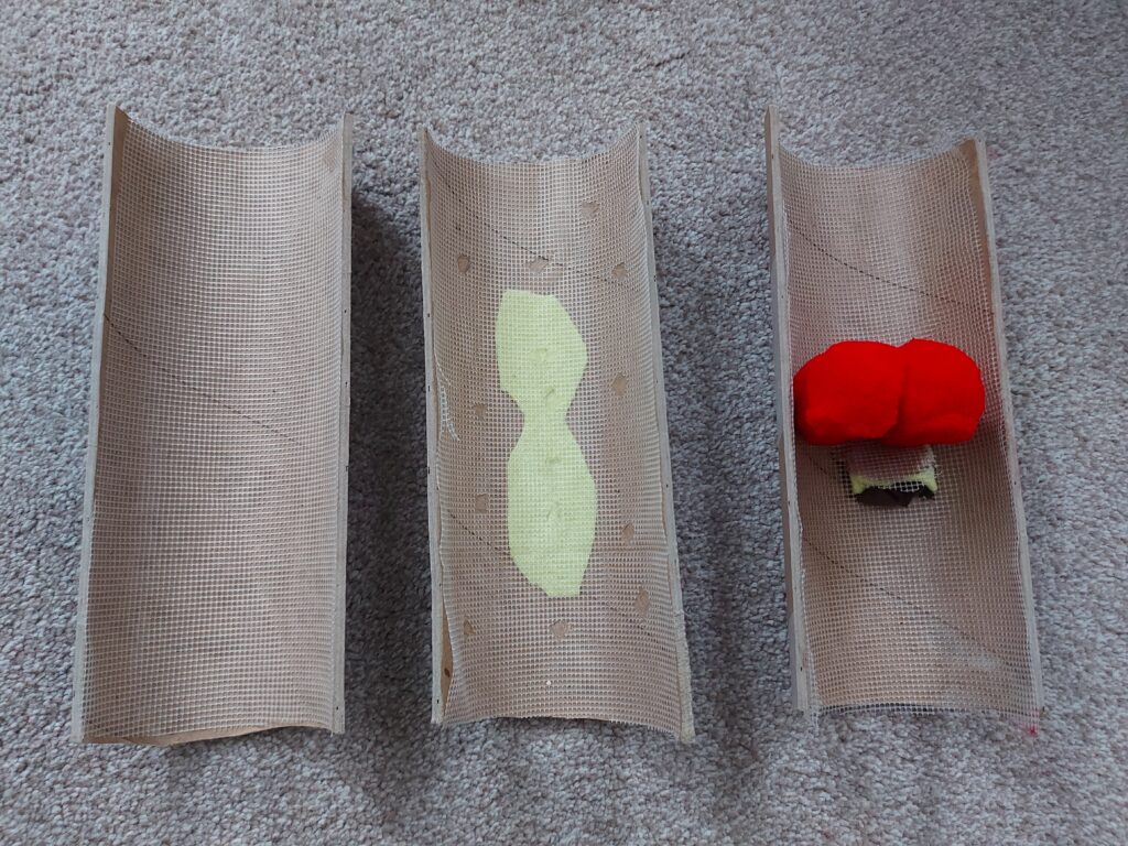 Mock up of arteries using cardboard tubes