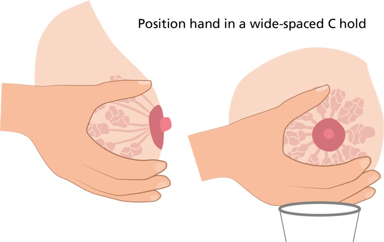 Image showing how to hand express.