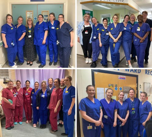 Image of UHSussex midwifery teams